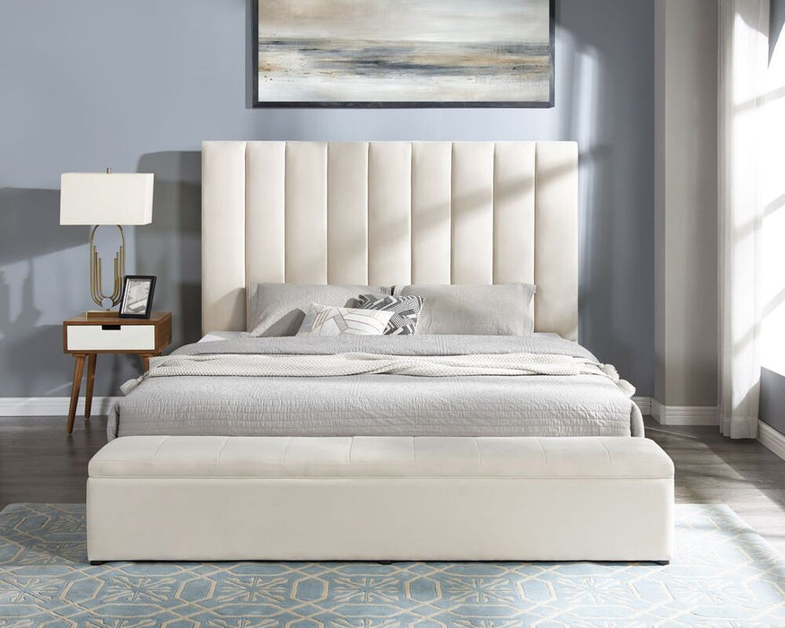 3 Room Package - 0118264