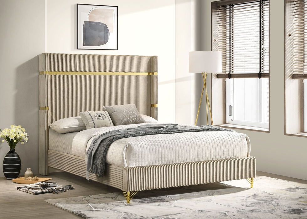 3 Room Package - 0331263