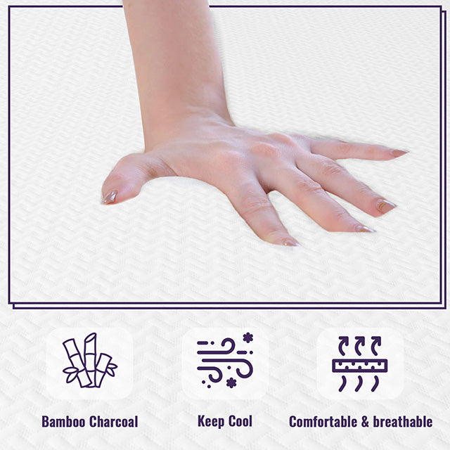 Nasturtium - 12" Twin Bamboo Charcoal Infused Memory Foam