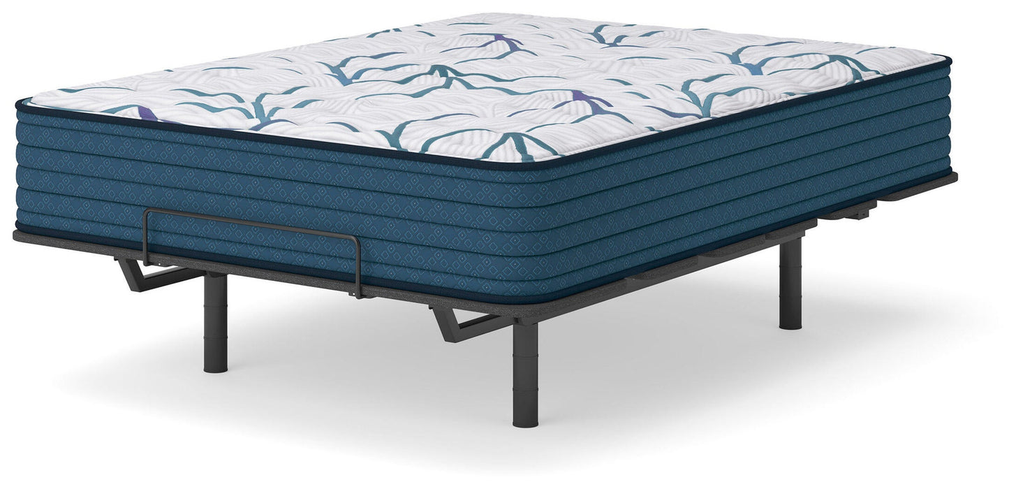 Ashley Express - Limited Edition Firm 3.0 Queen Mattress