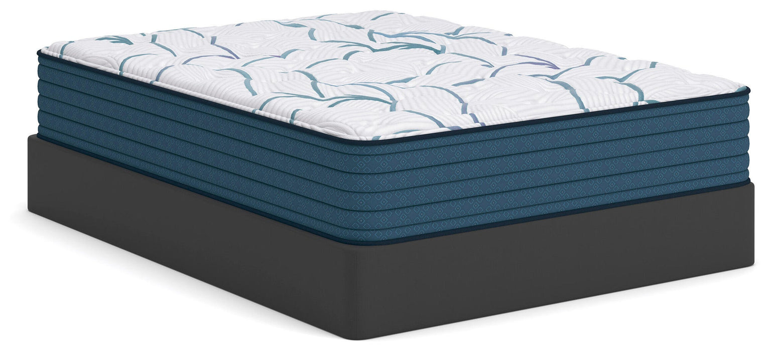 Ashley Express - Limited Edition Plush 3.0 Queen Mattress