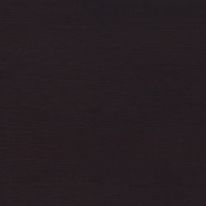 Tracy 55-inch 2-drawer Office Computer Desk Cappuccino